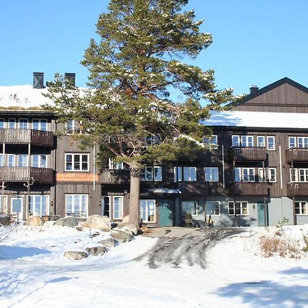 Hovdehytta Appartement Hovden  Buitenkant foto